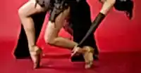 SALSA ÖĞRENME REHBERİNİZ
