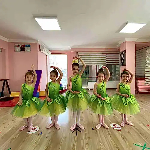 Demiurk Kostüm ve Organizasyon - ODTÜ Dans Okulları - 2. Fotoğraf