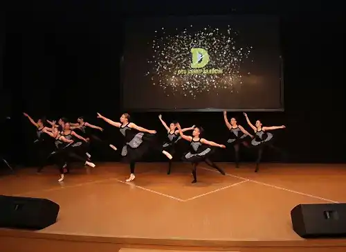 TC. MEB Düş Sanat Akademi