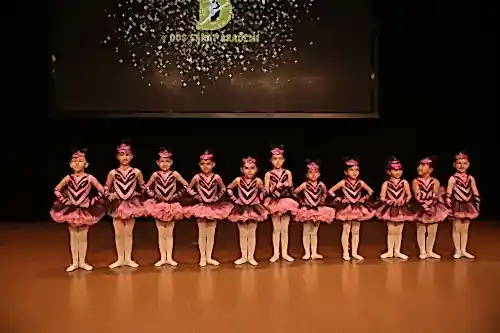 TC. MEB Düş Sanat Akademi
