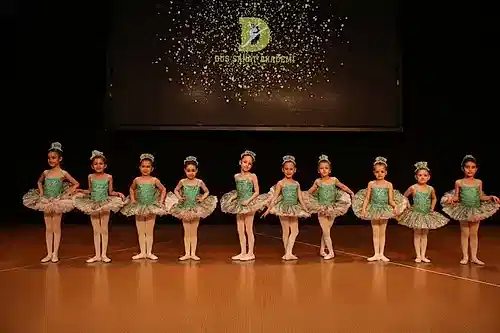 TC. MEB Düş Sanat Akademi