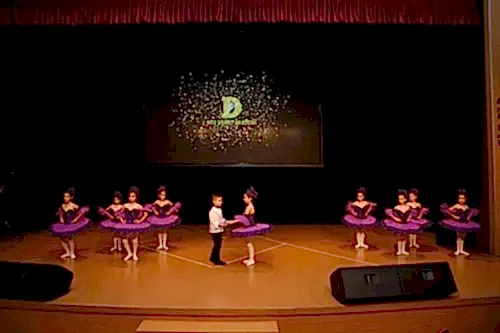 TC. MEB Düş Sanat Akademi