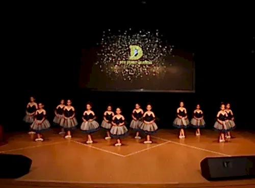 TC. MEB Düş Sanat Akademi