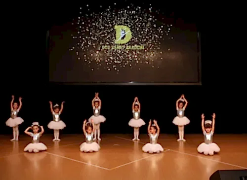 TC. MEB Düş Sanat Akademi