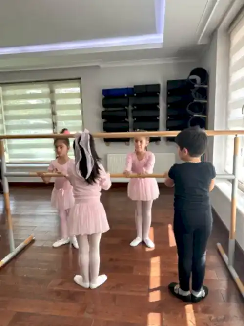 TC. MEB Düş Sanat Akademi